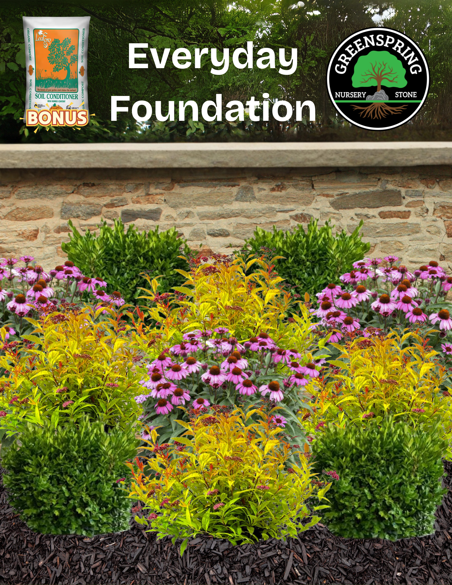 9+ Low Maintenance Foundation Plants Foundation Garden – Everyday – 11 Plants + Soil Conditioner for Balanc