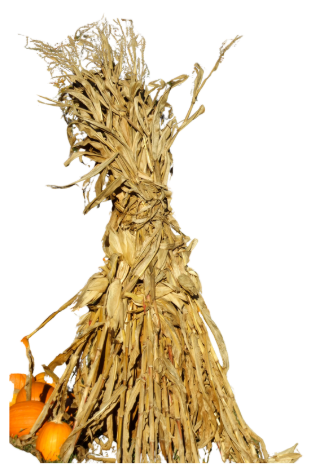 Corn Stalk Bundle