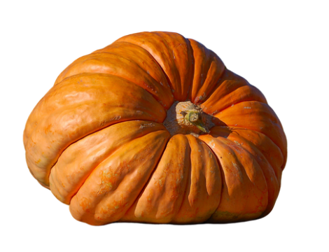 Grand Prize Pumpkin
