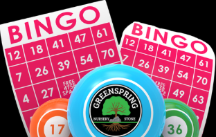Plant BINGO Ticket - May 30th 4:30pm