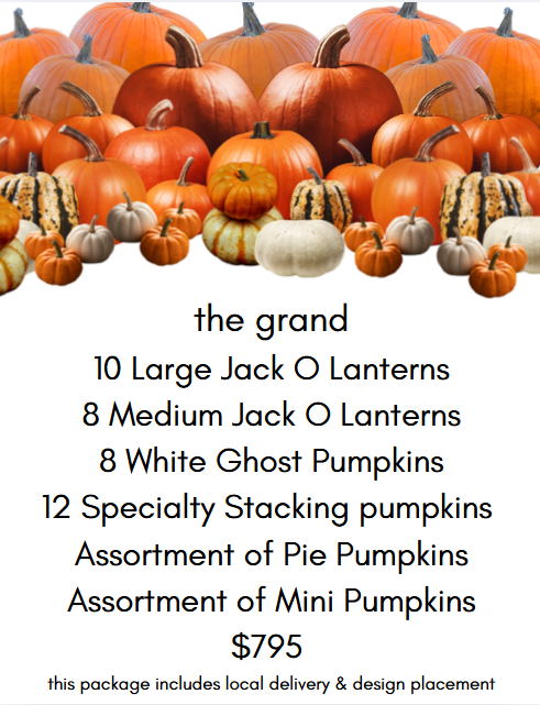The Grand Fall - Porchscapes