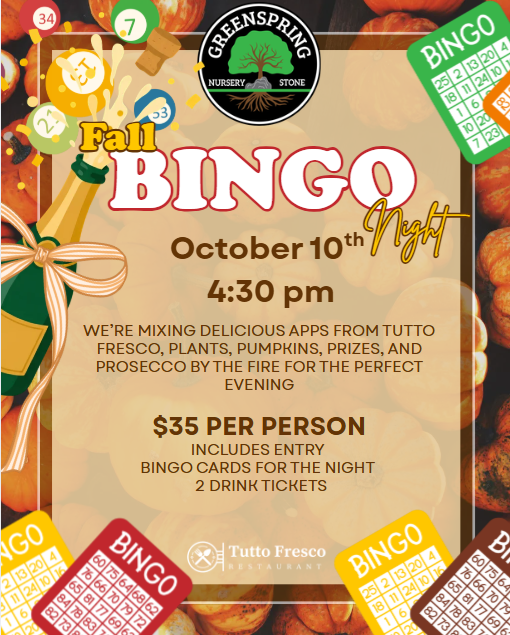 Fall BINGO Ticket - October 10th 4:30pm