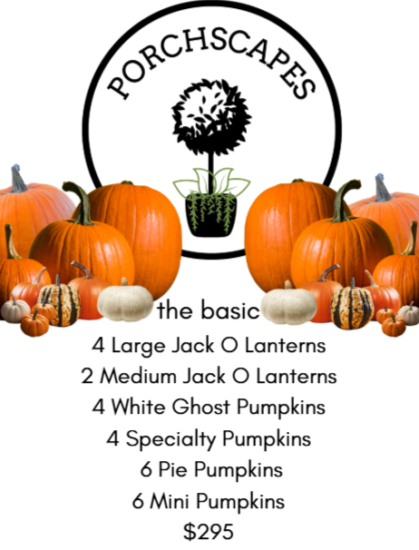 Fall Base - Porchscapes