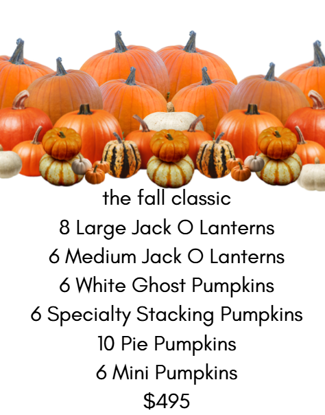Fall Classic - Porchscapes